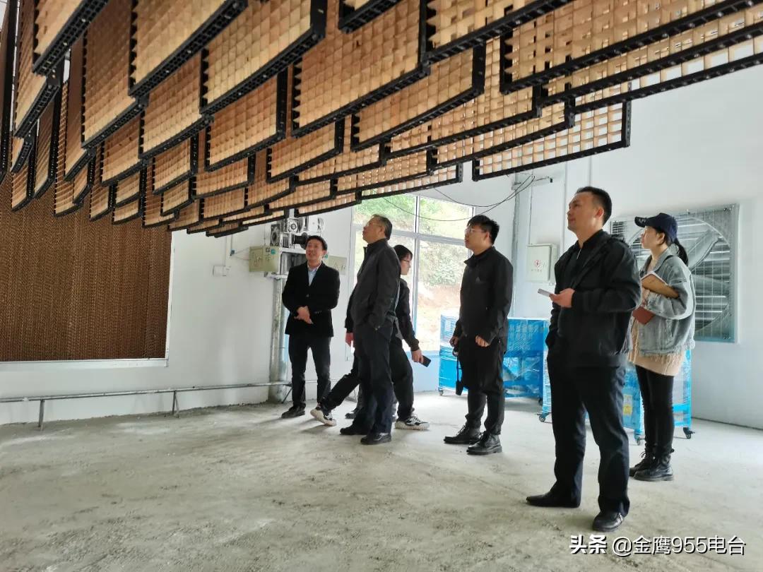 我和我的党支部简介,我和我的支部微视频营子村