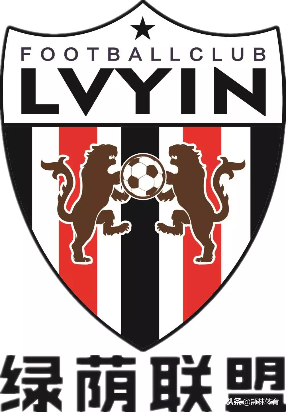 郜林热身赛,郜林回到河南青训专访