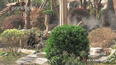 鍥藉疂缇庣櫧,鍥藉疂鐢ㄧ殑缇庣櫧闈㈣啘