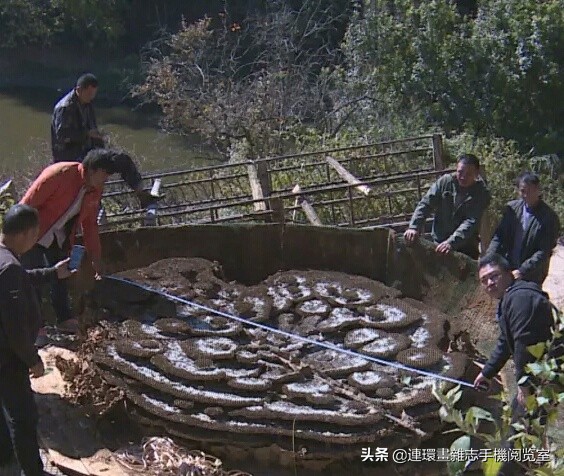 各式蜂巢,各种各样的蜂窝