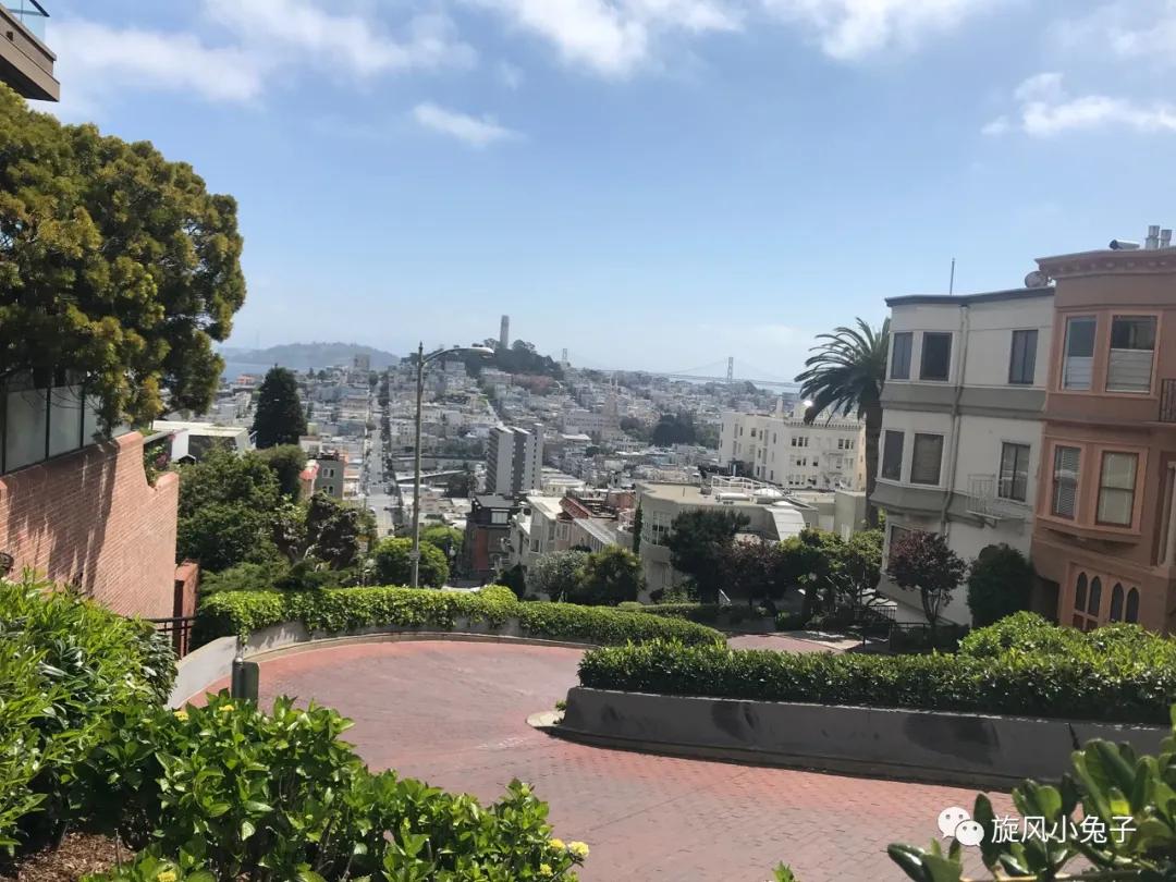 加州沿海1号公路自驾游散装系列（一）：阳光北加的金山依旧