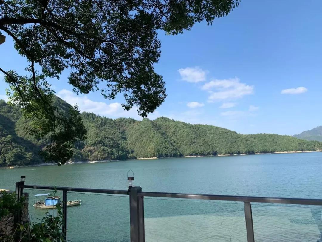 “blingbling”,黄得可爱的橘子可以从8月摘到来年2月!淳安中联村:临湖民宿处女地,甜甜蜜蜜看湖景