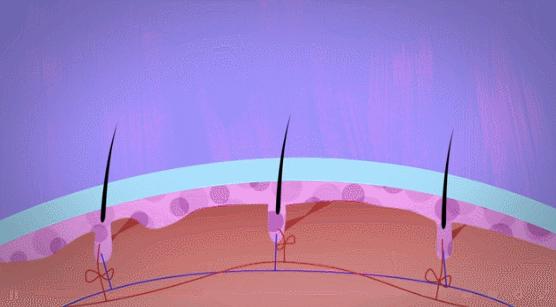 白发真的能从发根长出黑发吗,白发怎么治疗才能变黑小偏方