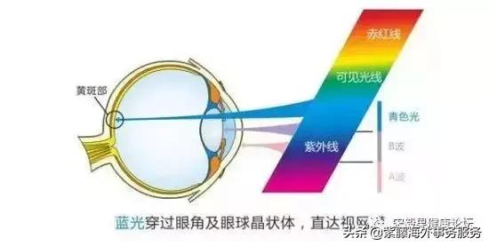 防晒保护眼睛,眼睛防晒的最佳方法