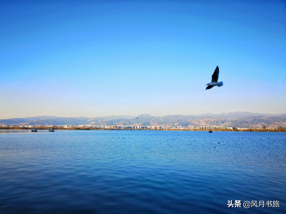 西昌山火肆虐过后救火者,西昌木里救火英雄