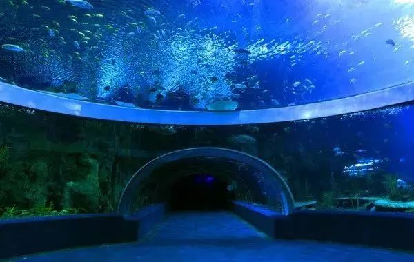 童话梦幻王国亲子游,亲子游玩好去处七彩童话