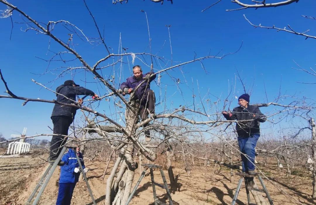 美域高生物科技有限公司,美域高生物科技公司