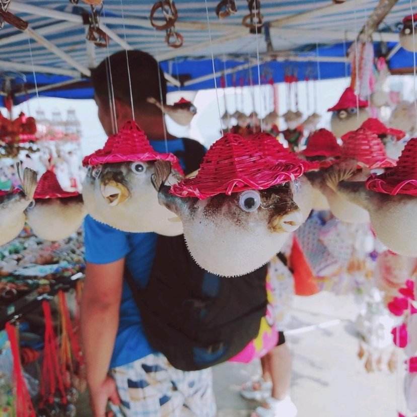 烟台龙口南山大佛景区,烟台龙口南山学院