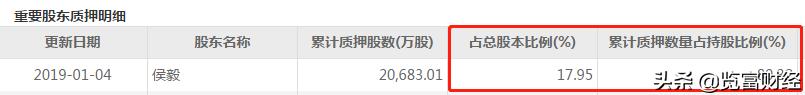 新纶科技董事长减持,新纶科技新消息易主传闻