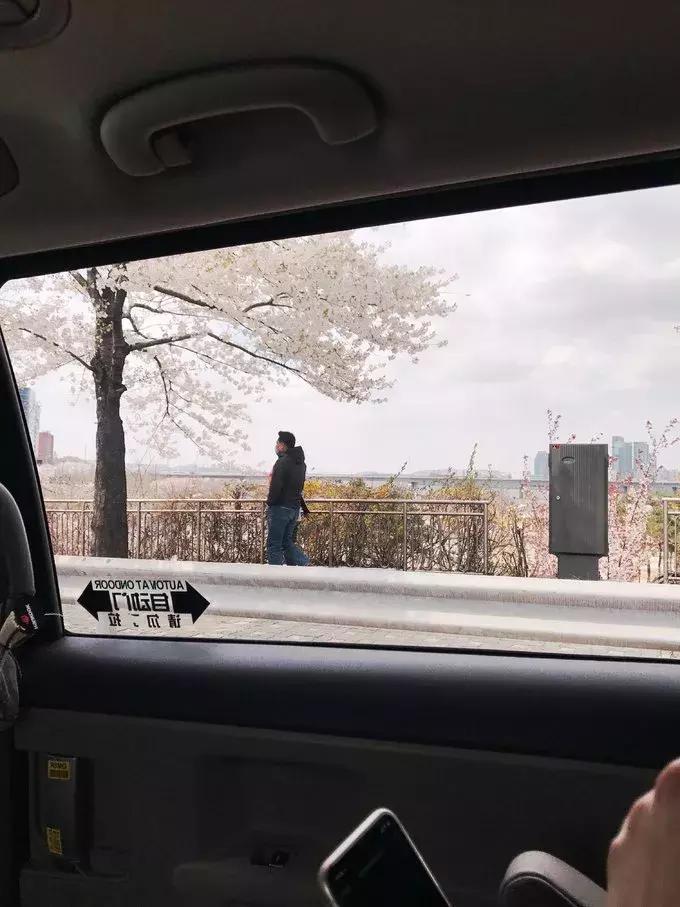 游记｜韩国好像没什么，但女孩子玩起来就是好爽