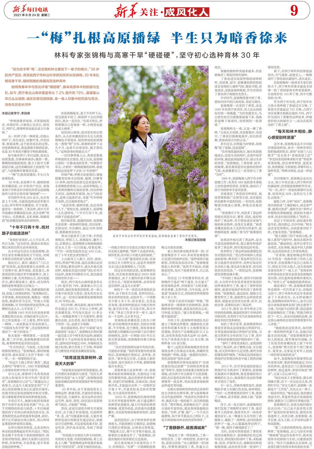 林科专家张锦梅：一“梅”扎根高原播绿半生只为暗香徐来