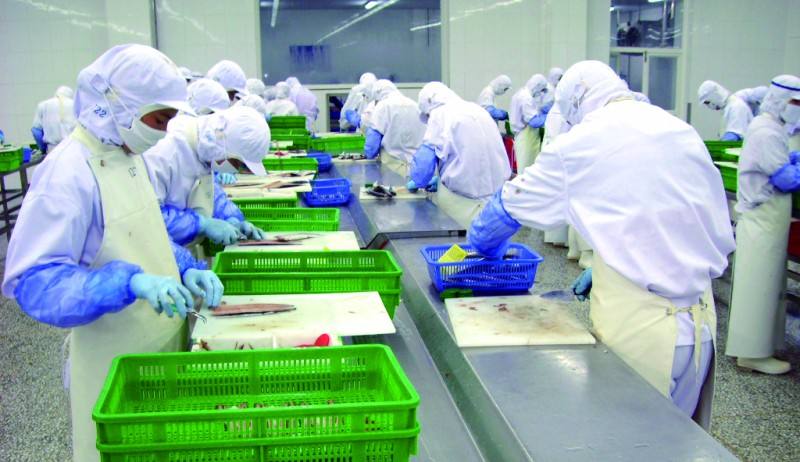 未来几年前景比较好的项目,未来5年闷声发大财项目