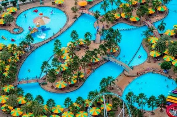 龙虾没人吃,龙虾不吃东西