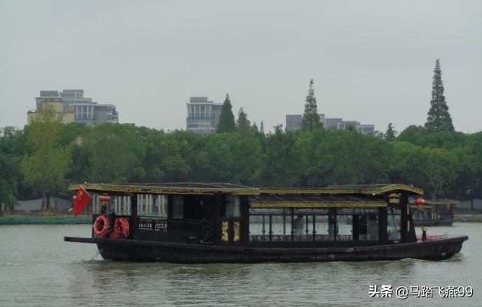 中国第一水牛,中国第一头牛