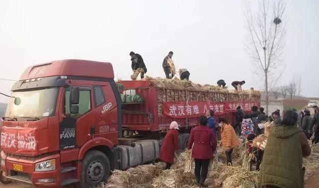 疫情面前，如果你熬不下去了，请看看他们…