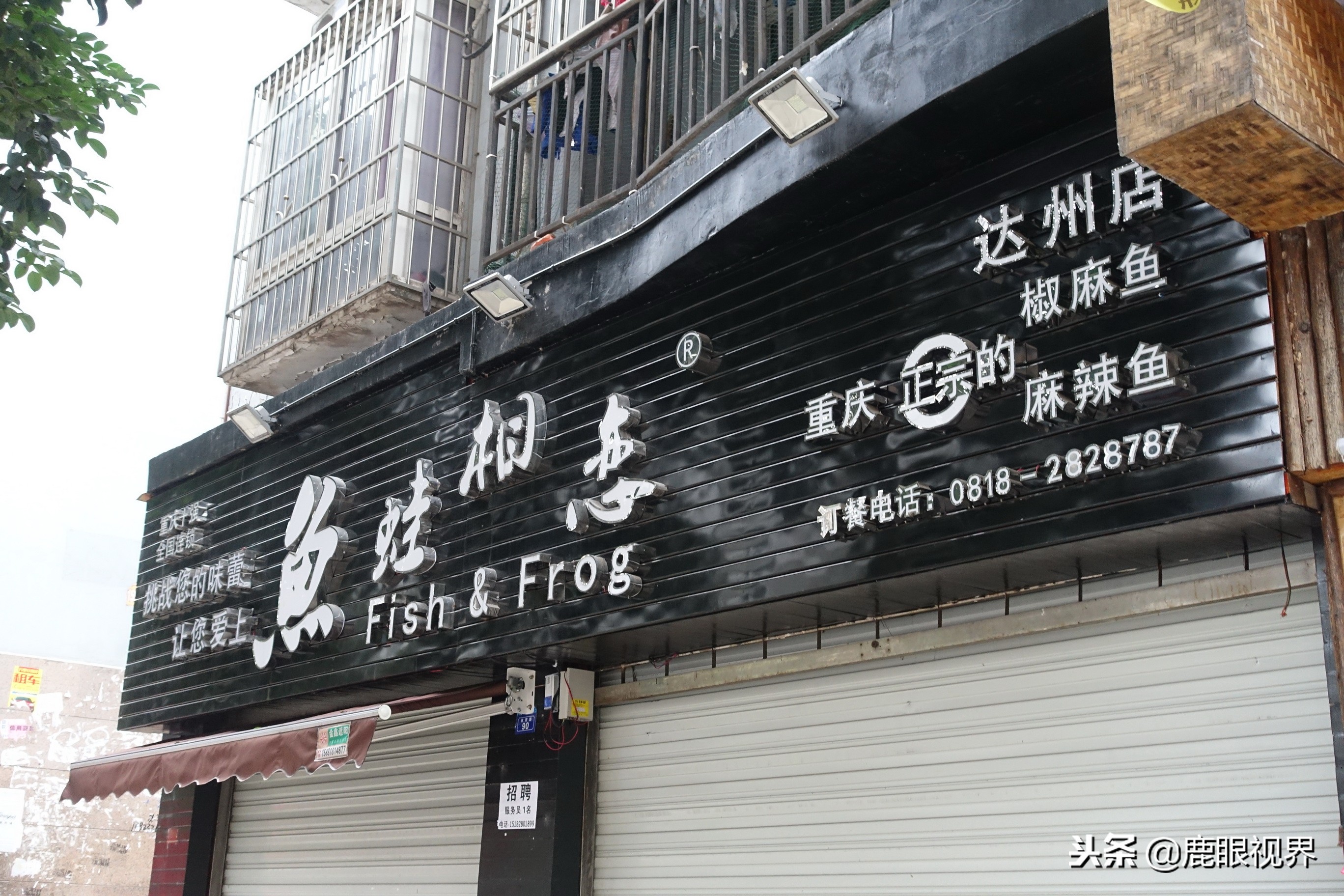 鹿眼视界多少钱一个,鹿眼视界店招原版