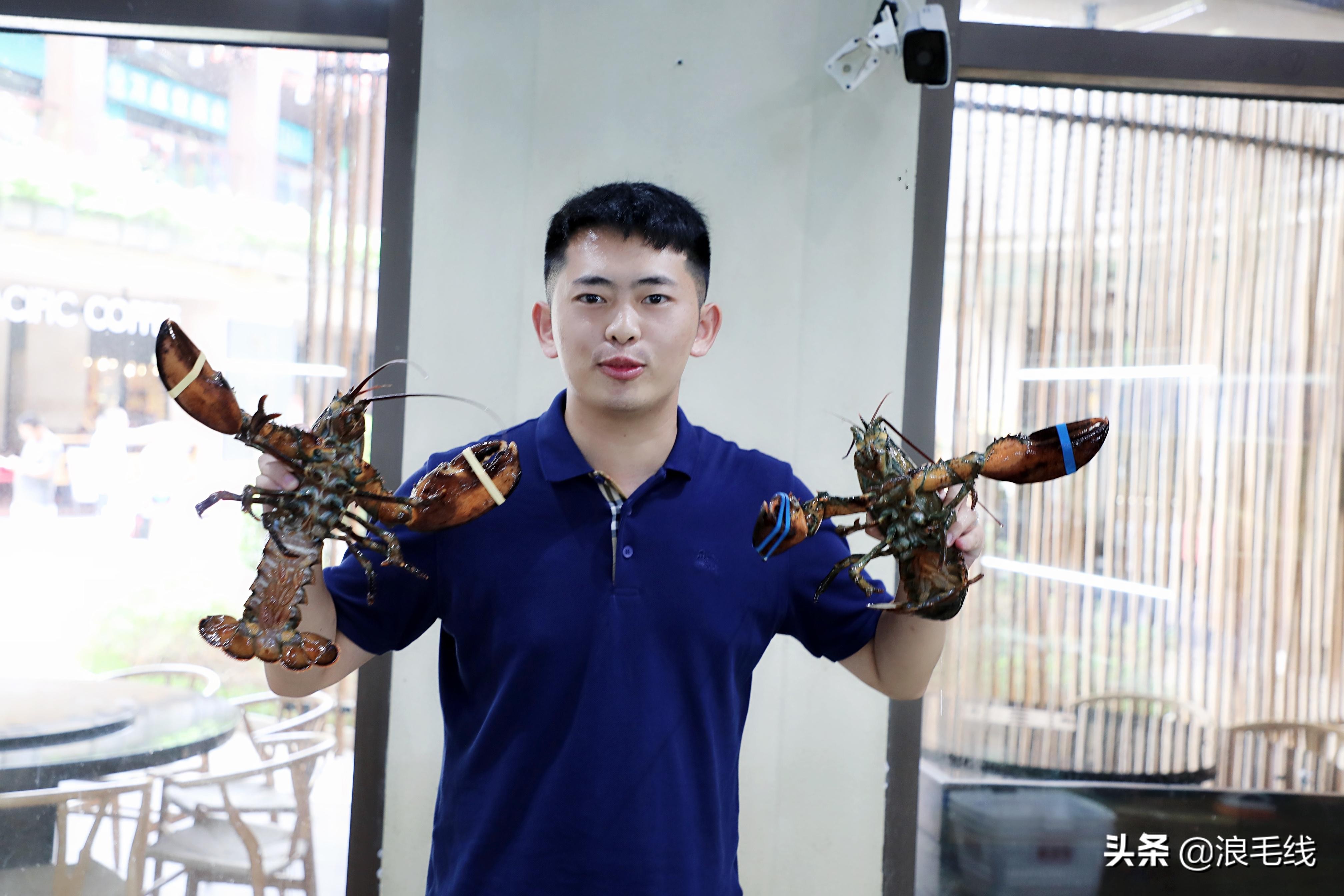 三亚海棠湾自由行热门攻略,三亚四天三夜海棠湾自由行攻略