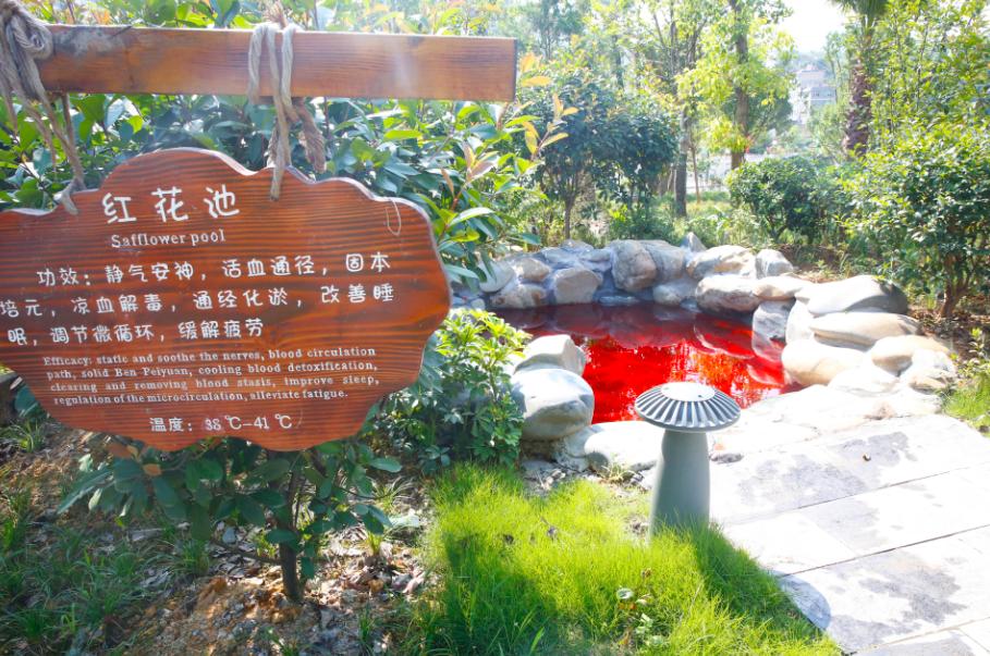 仙人街景区赏花攻略,吉尼斯打卡仙人街