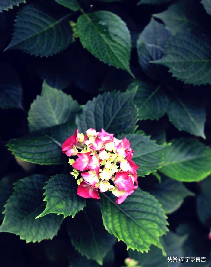 简短精辟的个性签名语录,个性签名经典语录精辟的短句