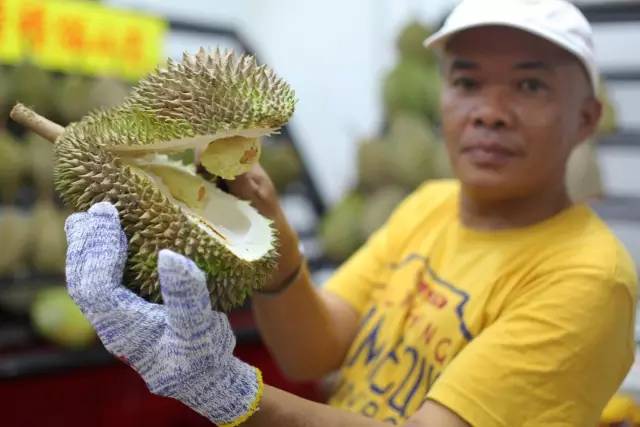 马来西亚旅游免签吗现在,马来西亚免签过关攻略