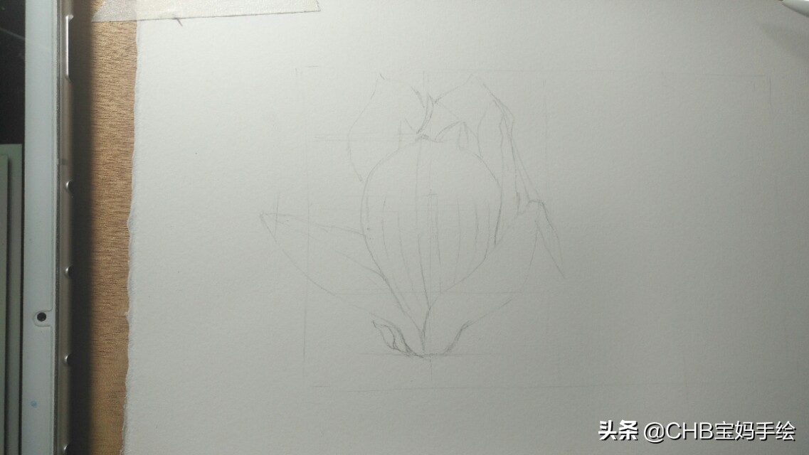 玉兰彩铅画教程图解,零基础彩铅画入门教程桃花