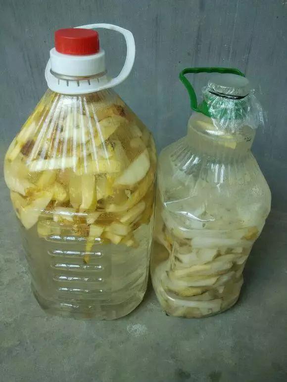 换盆黄叶掉叶,黄叶换盆最佳时间