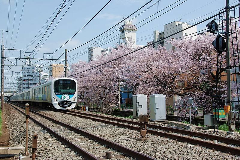 不懂日语怎么去日本旅游,去日本旅游不会日语怎么办