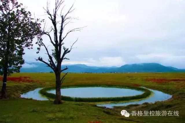 香格里拉除了景点还有好玩的地方,丽江去香格里拉路途中有什么景点