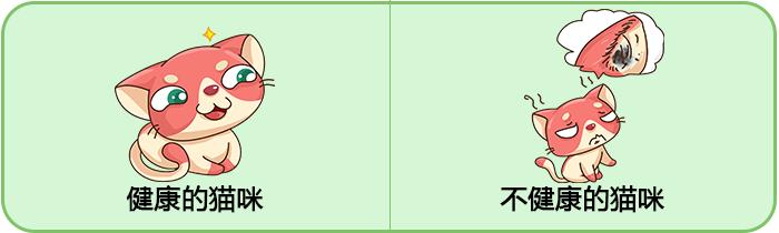 你的猫咪幸福吗,你的猫咪是怎样的