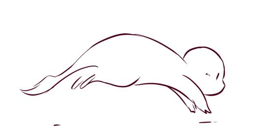 初学动画这20个最佳动画技巧必备,动画教程新手入门零基础的书籍