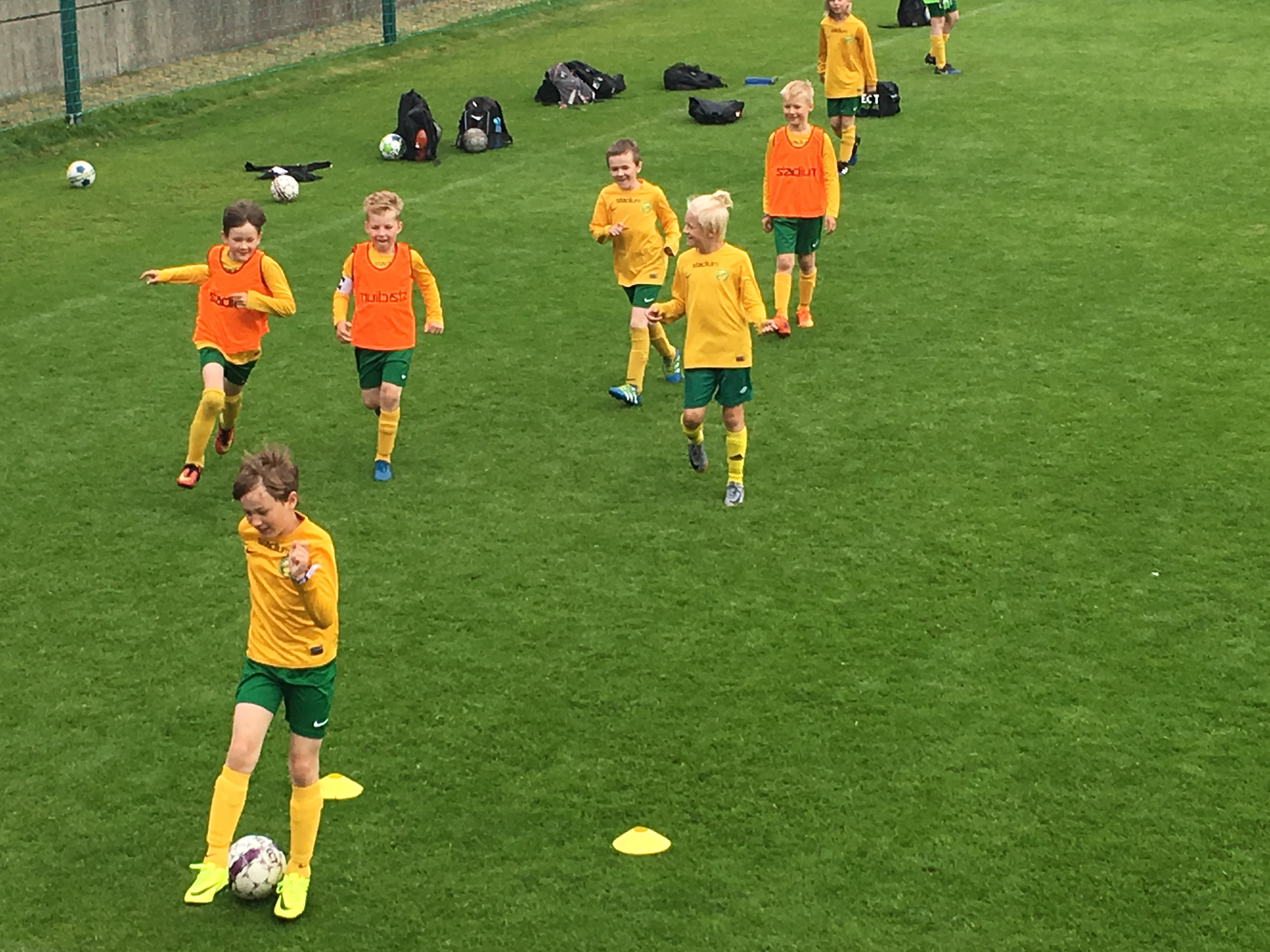 芬兰足球创历史首次进入欧洲杯正赛,一些芬兰足球的个人直接感受