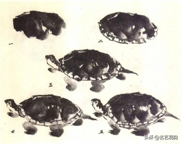老人与龟国画,国画技法怎样画龟