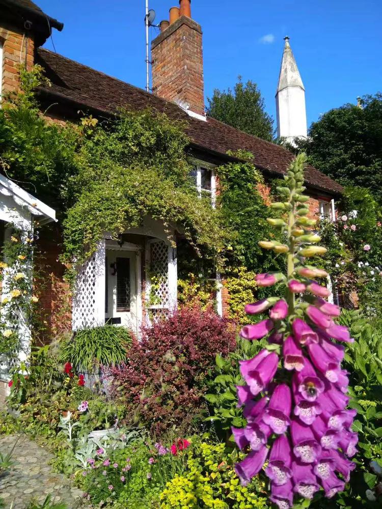 伦敦六月小说,六月的伦敦什么季节