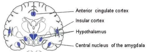 尿急尿频尿失禁的原因,尿急尿频尿失禁的根本原因是什么