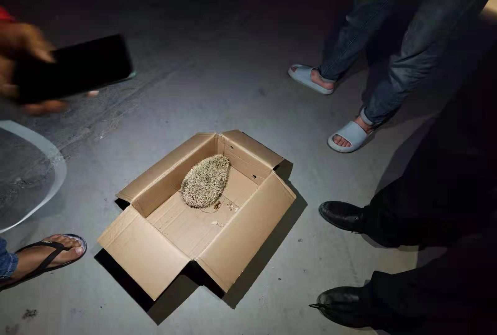 cop15大会开幕回看,cop15开幕第一天