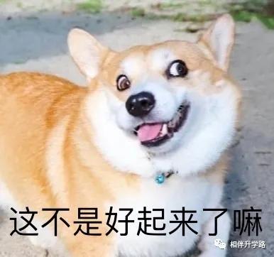 上海进才实验中学南校,进才实验南校