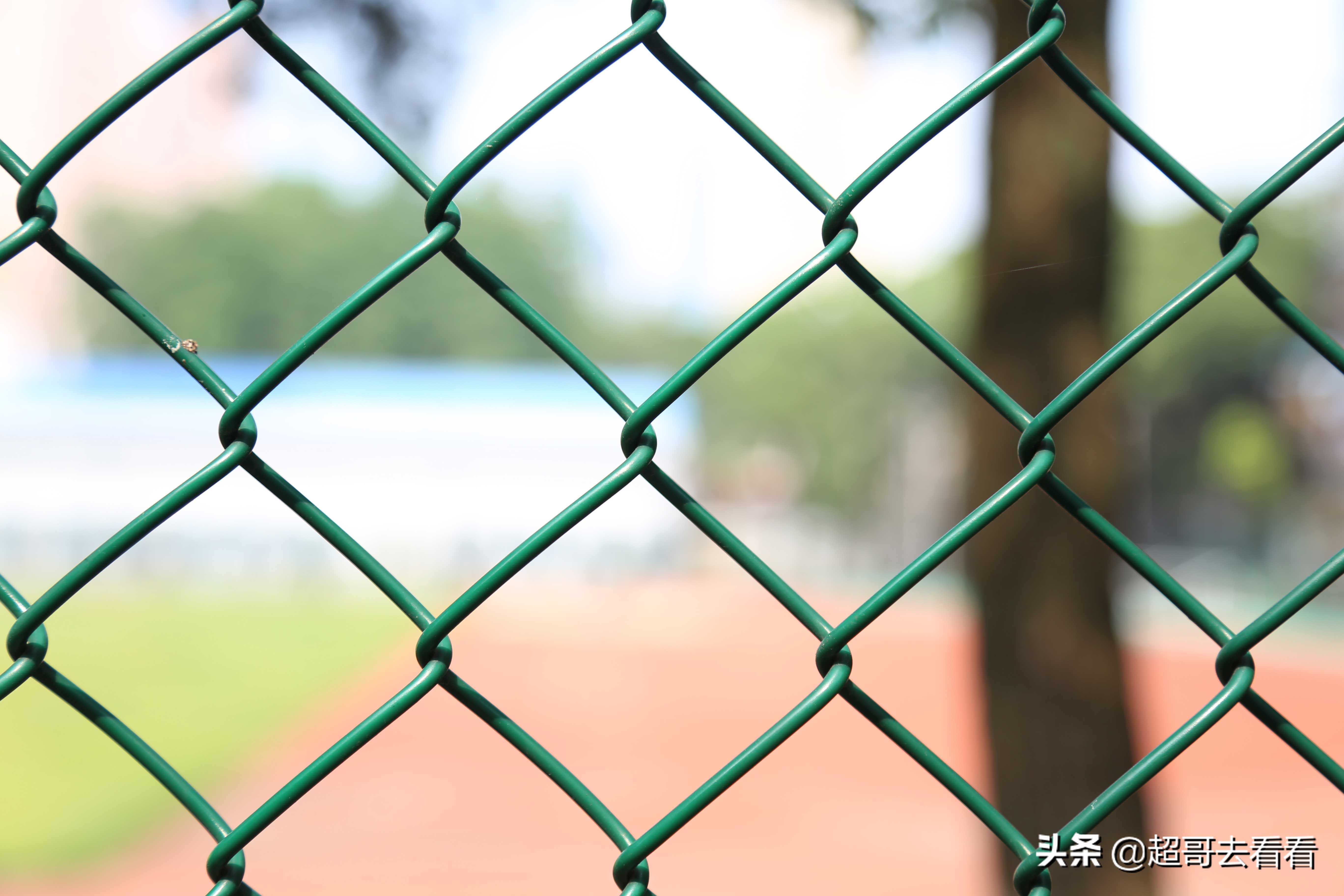 国家电网武汉电力研究院,湖北电网武汉电力职业技术学院