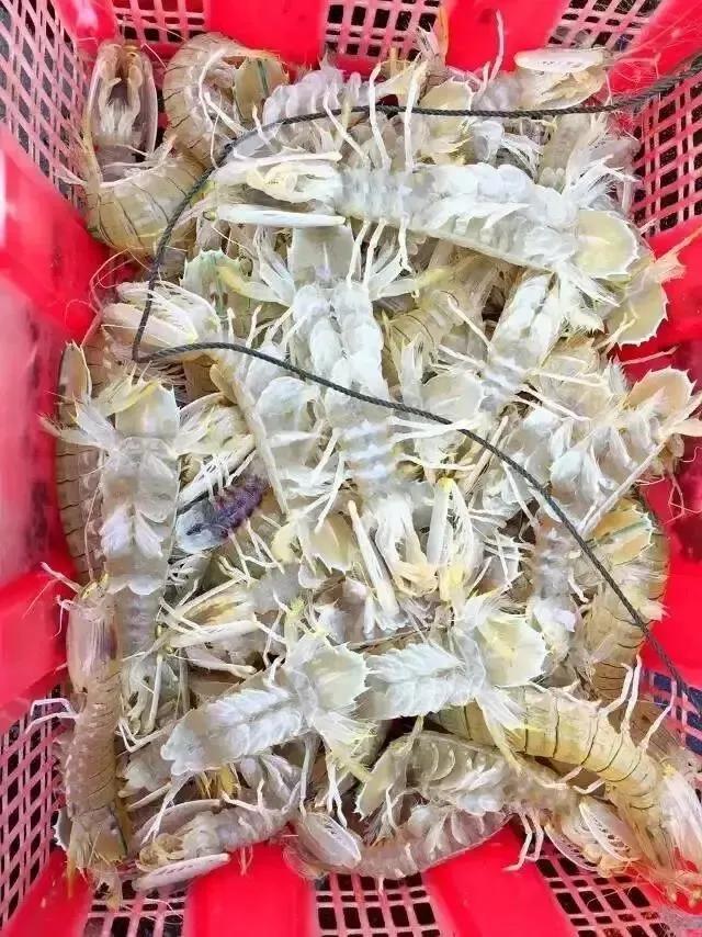 珠海东澳岛最高景点,珠海东澳旅游度假村