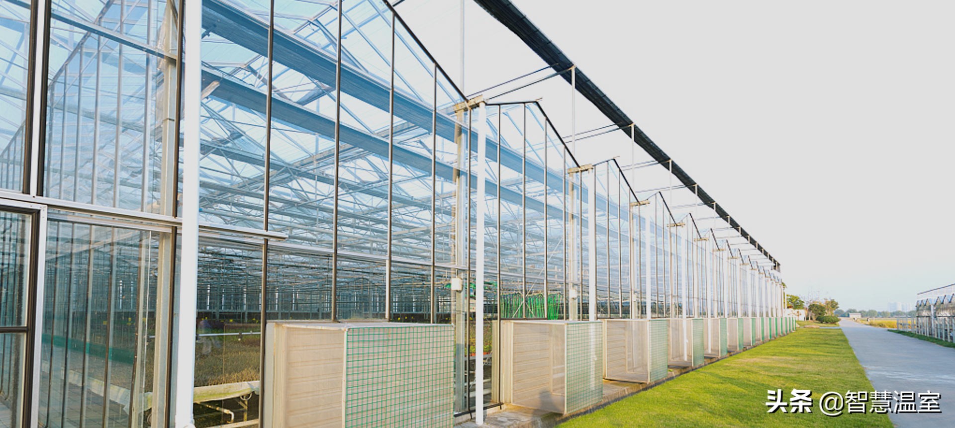 专业的玻璃温室大棚建造,温室大棚生产及设计