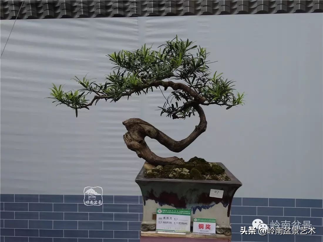 开运招财，非其莫属！清风雅韵，当之无愧！