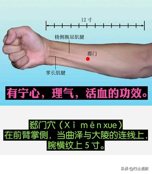 人体期门穴准确的位置,人体郄门穴位置