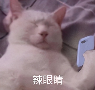 流泪猫猫头,流泪猫猫头抱小熊