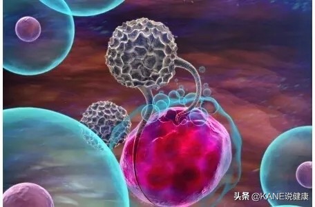 nk细胞消灭癌细胞实录,nk细胞杀神经元