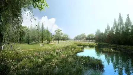 国家新建立的生态公园,占地四千亩的公园