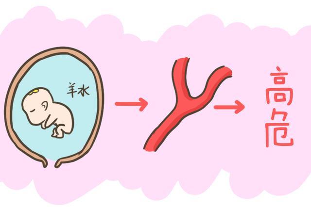 38周羊水浑浊偏少要立刻住院吗,怀孕中胎儿最怕什么