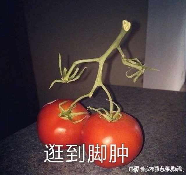 我咋办啊表情包,表情包我能怎么办