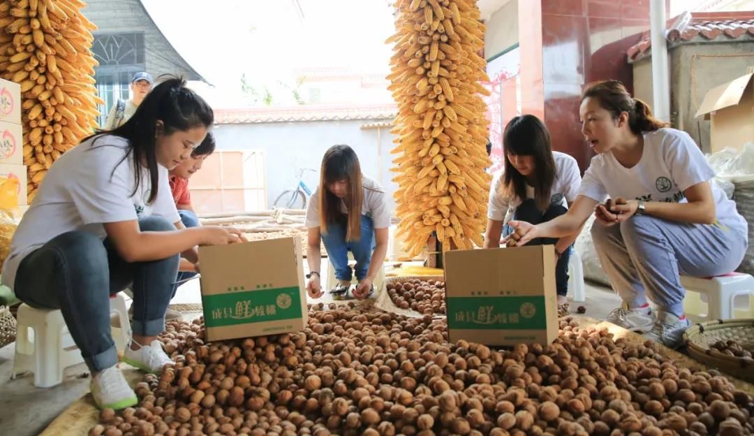 甘肃陇南徽县电商产品,陇南电商白皮书