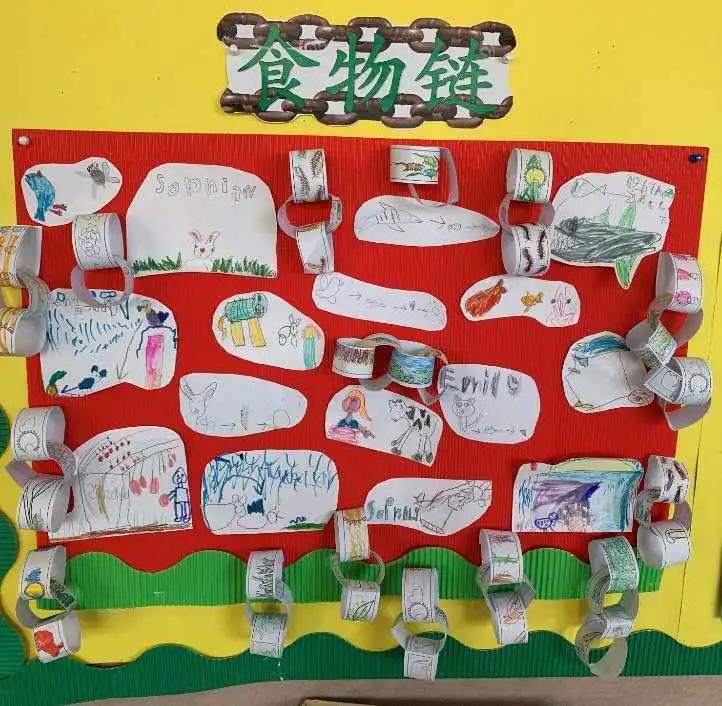 国际视野下的全球教育,国际教育中国教育