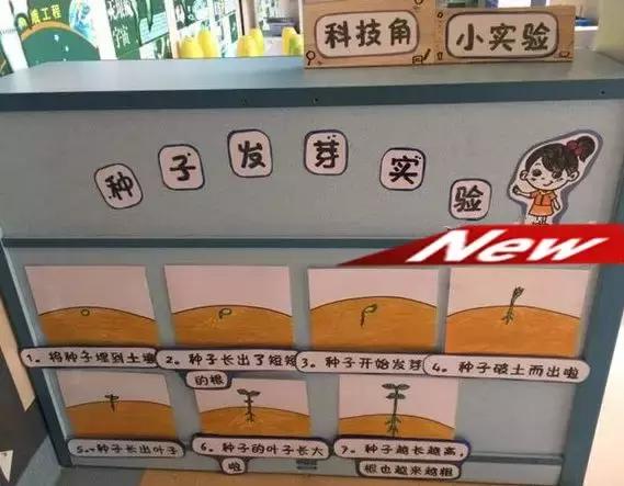 幼儿园小班科学区角布置视频,幼儿园科学区角布置图片手工