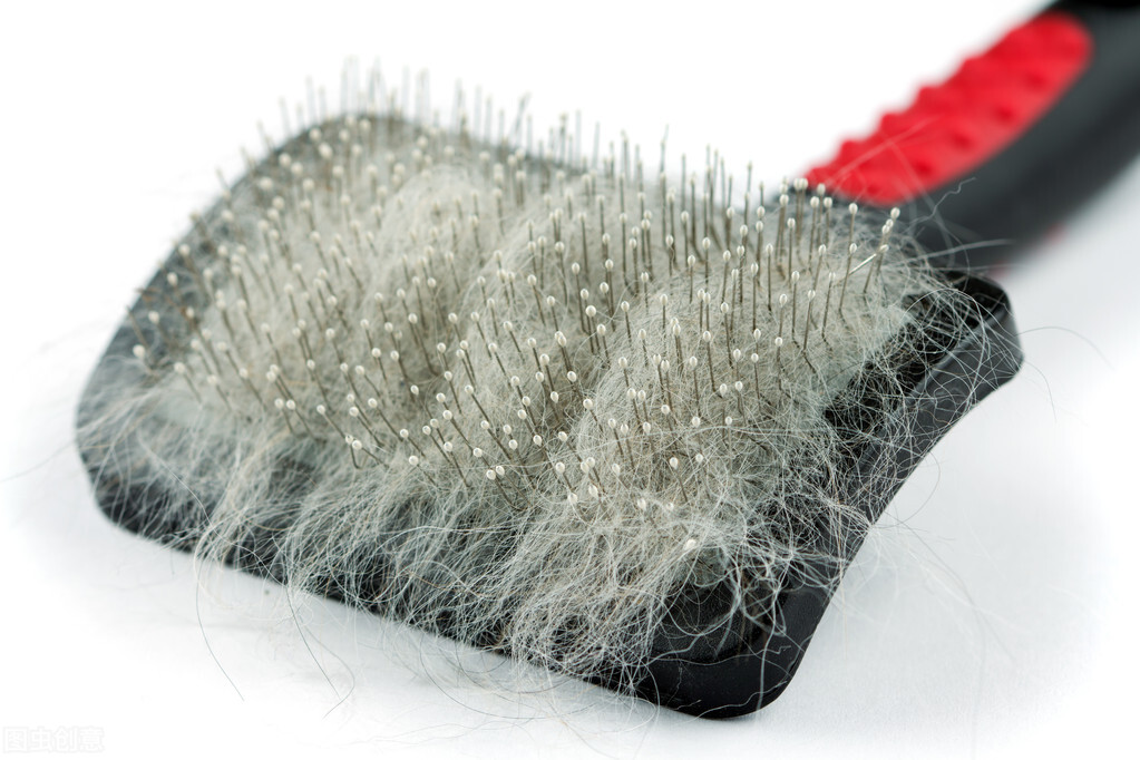 如何清理宠物毛发小妙招,如何除去换洗衣物上的宠物毛发